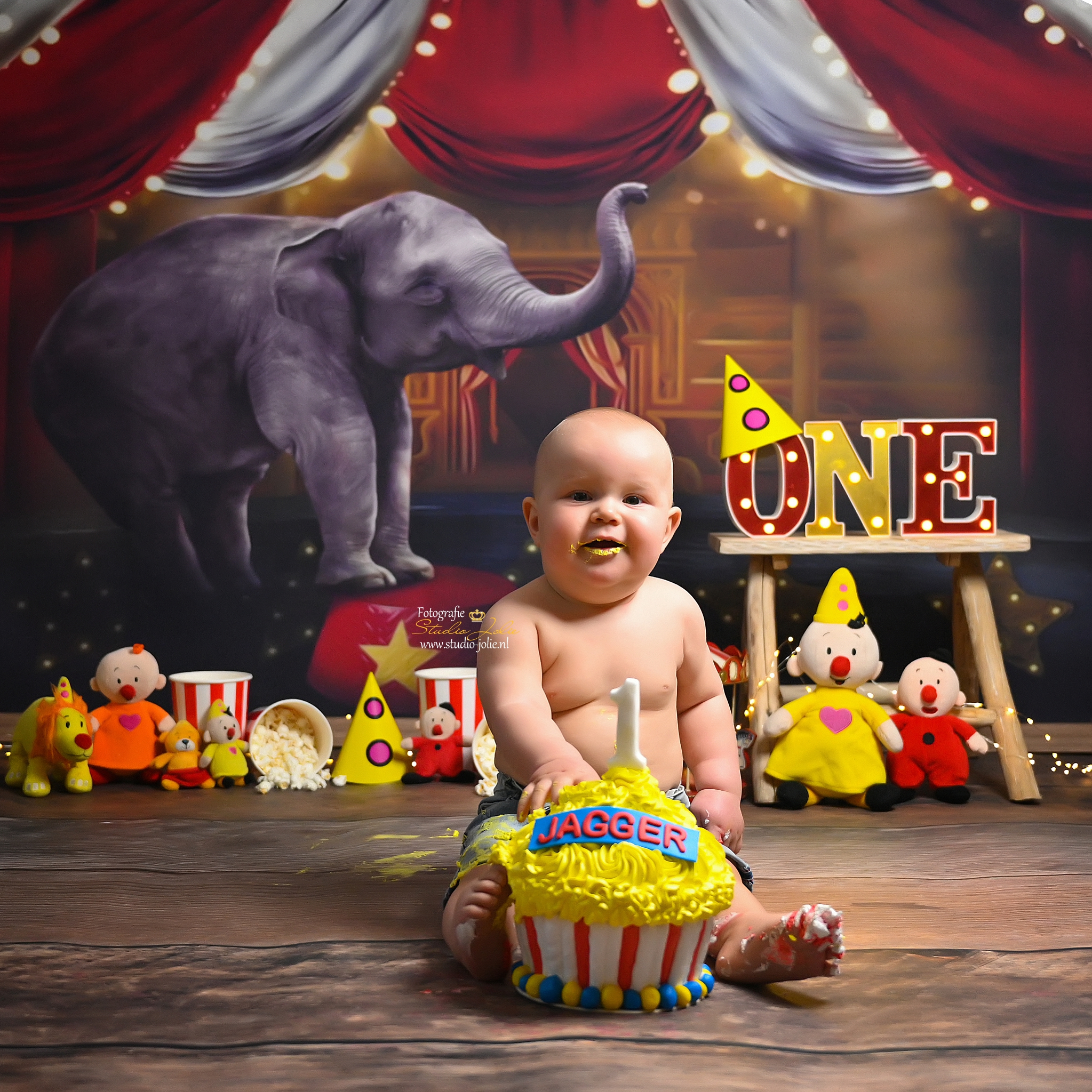 Bedreven zadel Herdenkings Circus Thema Cakesmash - Fotografie Studio Jolie